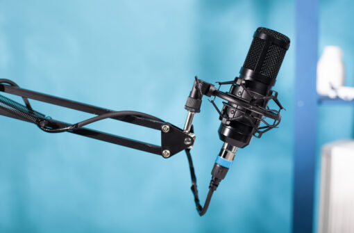 Deep Voice